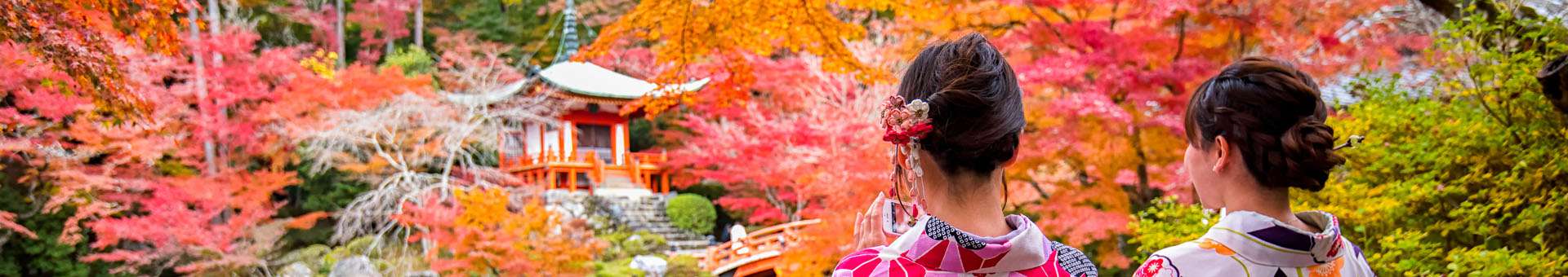 Japon Recherche de marques déposées